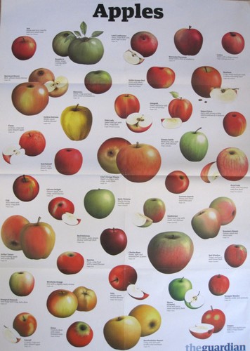 The guardian wall chart - wall, a1