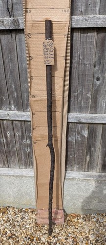 Blackthorn walking stick - blackthorn,