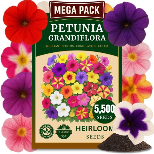Tlssco 5500 petunia seeds - tlssco,