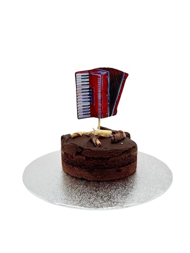 Piano accordion cake - cake,