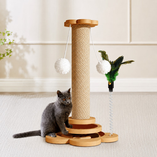 Tall large cat - large, scratching
