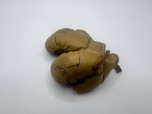 Muhammad ali brown - muhammad, gloves