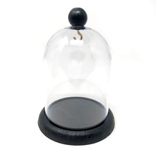 Pocket Watch Display Dome