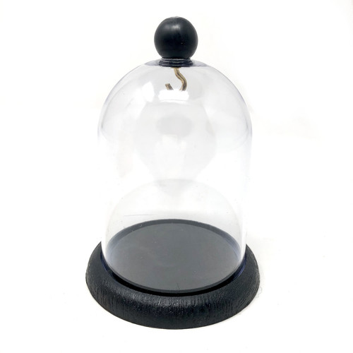 Pocket watch display dome - pocket,
