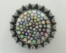 Peter McDougall Millefiori