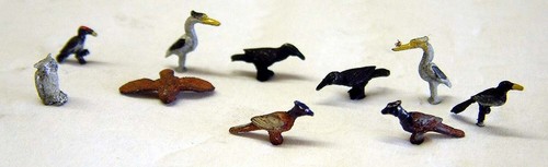 Animals wild birds f147p - animals,