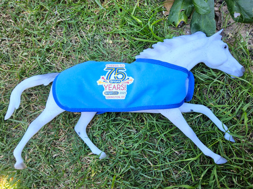 Breyer tight lines phish bf - tight,