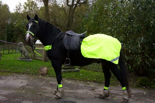 Viz yellow horse quarter - yellow,
