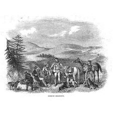 HUNTING Grouse Shooting Scene - Antique Print 1843