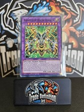 DUAD-EN034	"Absolute Axon