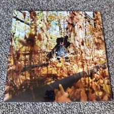 GOLLIWOG LP / billy woods