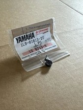 Brush Spring (Spring, Brush)