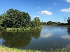 Coarse Fishing Day Ticket/