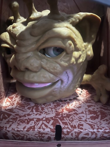 First edition 2021 - , boglin