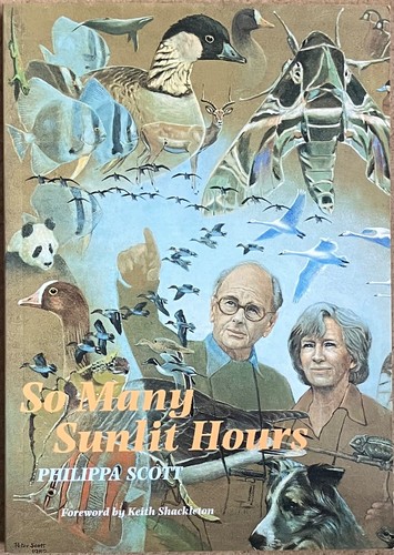 Many sunlit hours by - many,