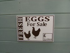  new design 2015 rigid a4 fresh eggs for sale sign eglu/coop ideal free p&p