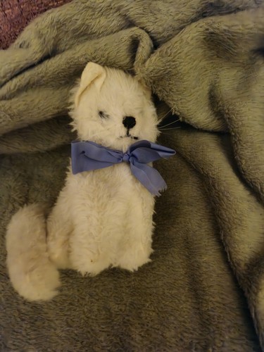 Vintage wendy boston white - white, cat