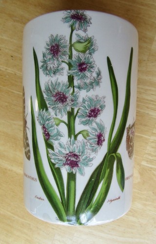 Portmeirion botanic hyacinthus - portmeirion,