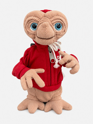 20th anniversary teddy - 20th,