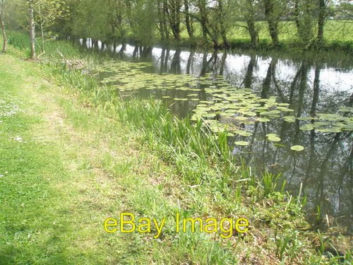 Photo 6x4 water - photo, lilies
