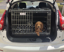 Dog Car Cage for Nissan Juke | Sloped Boot Travel Crate with Bedding