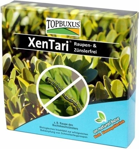 Topbuxus xentari boxwood - xentari,