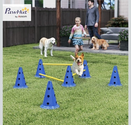 Pawhut dog agility - pawhut,