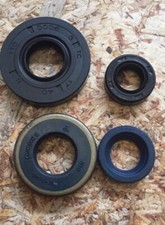 MINARELLI P6 ENGINE OIL SERIES