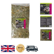 Happy Pet Tortoise Edible