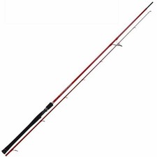 Tenryu Red Dragon Express