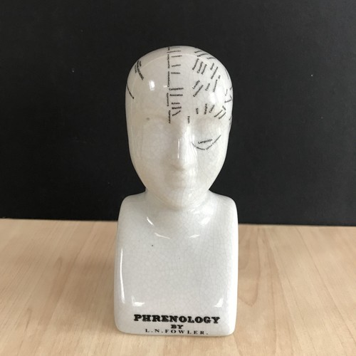 Ceramic phrenology head - ceramic,
