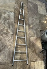 Ramsey fruit picking/window cleaning ladder  - 2.5m 