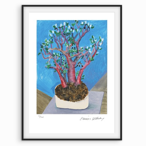 David hockney signed - david,