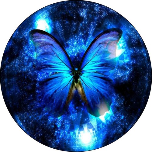 Elegant blue butterfly tax - elegant,