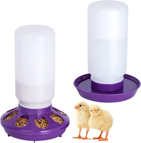 Chicken feeder and waterer set - chicken,