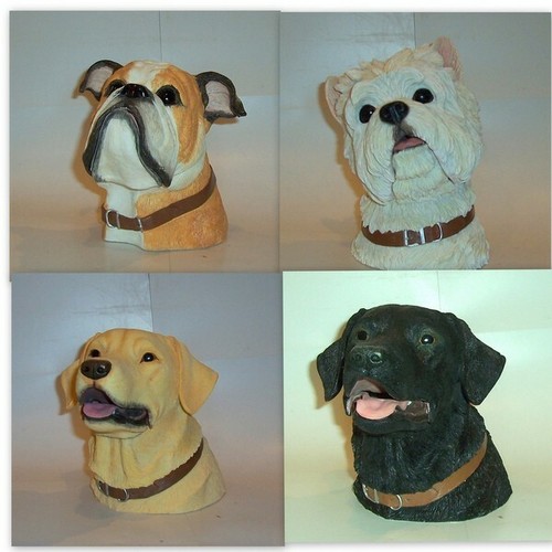 Country artists dog - country,