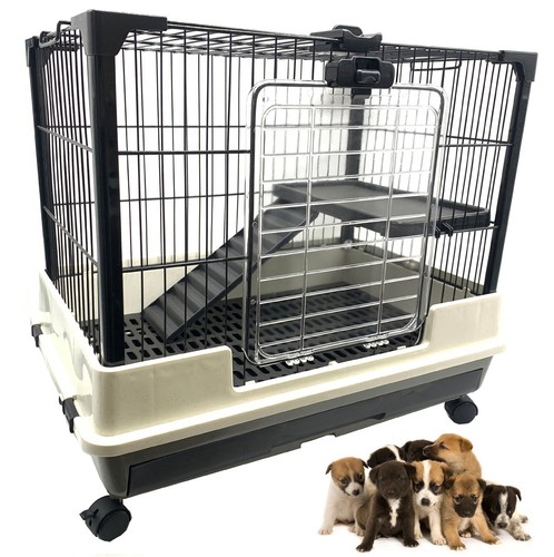 Tier indoor puppy - indoor,