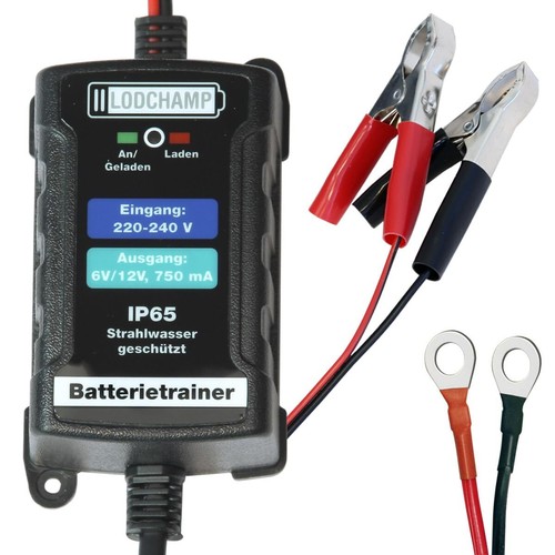 146303 battery trainer 12v - 146303,
