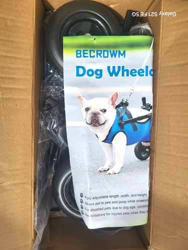 Becrowm small dog - becrowm,