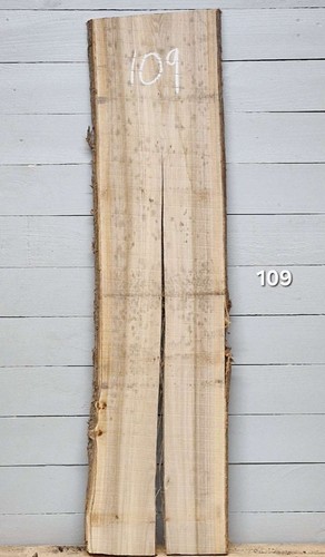 Elm live edge - live, 1340mm