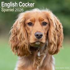 English Cocker Spaniel 2026 Calendar | Dog Breed Gift Wall 15% OFF MULTI ORDERS