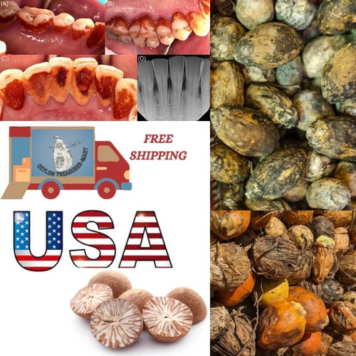 100pcs sun dried betel areca - sun,