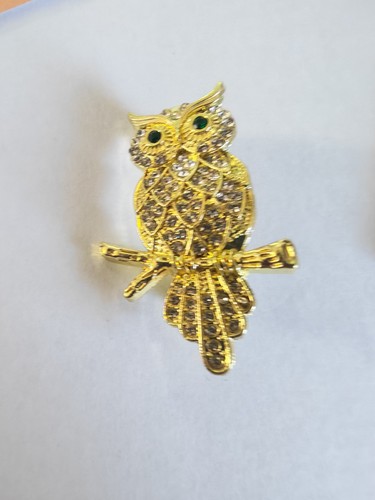 Gold white coloured owl brooch - coloured,