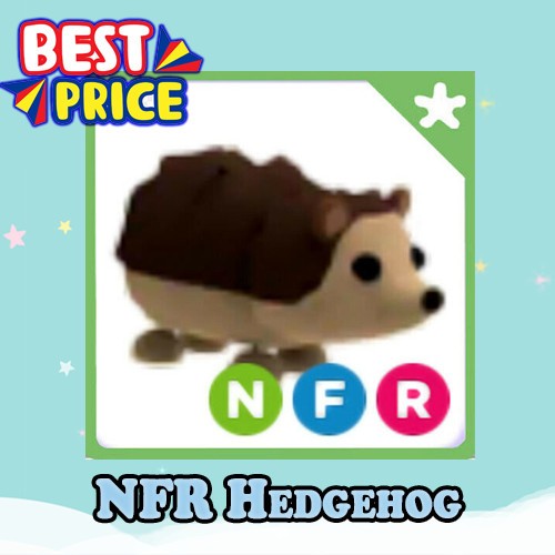 Nfr hedgehog adopt - hedgehog, now
