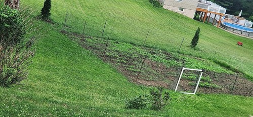 Push pull hoe for weeding - push-pull, &