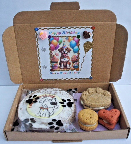 Dog birthday gift treat - dog,
