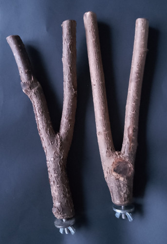 Hazel wood branch uk - ,