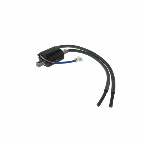 Ignition coil 12v 700 92 - coil,