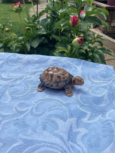 Wade porcelain tortoise - wade,