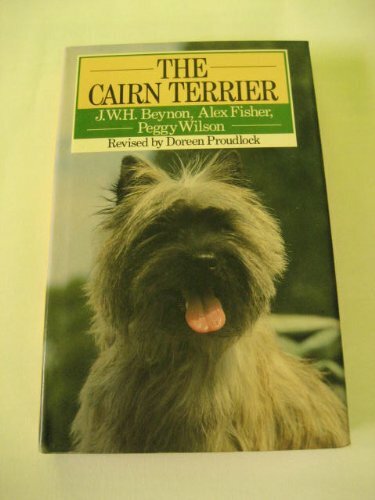 Cairn terrier popular dog - terrier, (popular